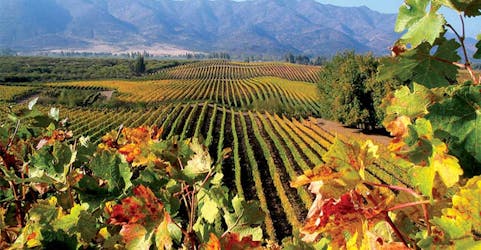 Wine tour in Casablanca & Rosario Valleys with visit to Pomaire